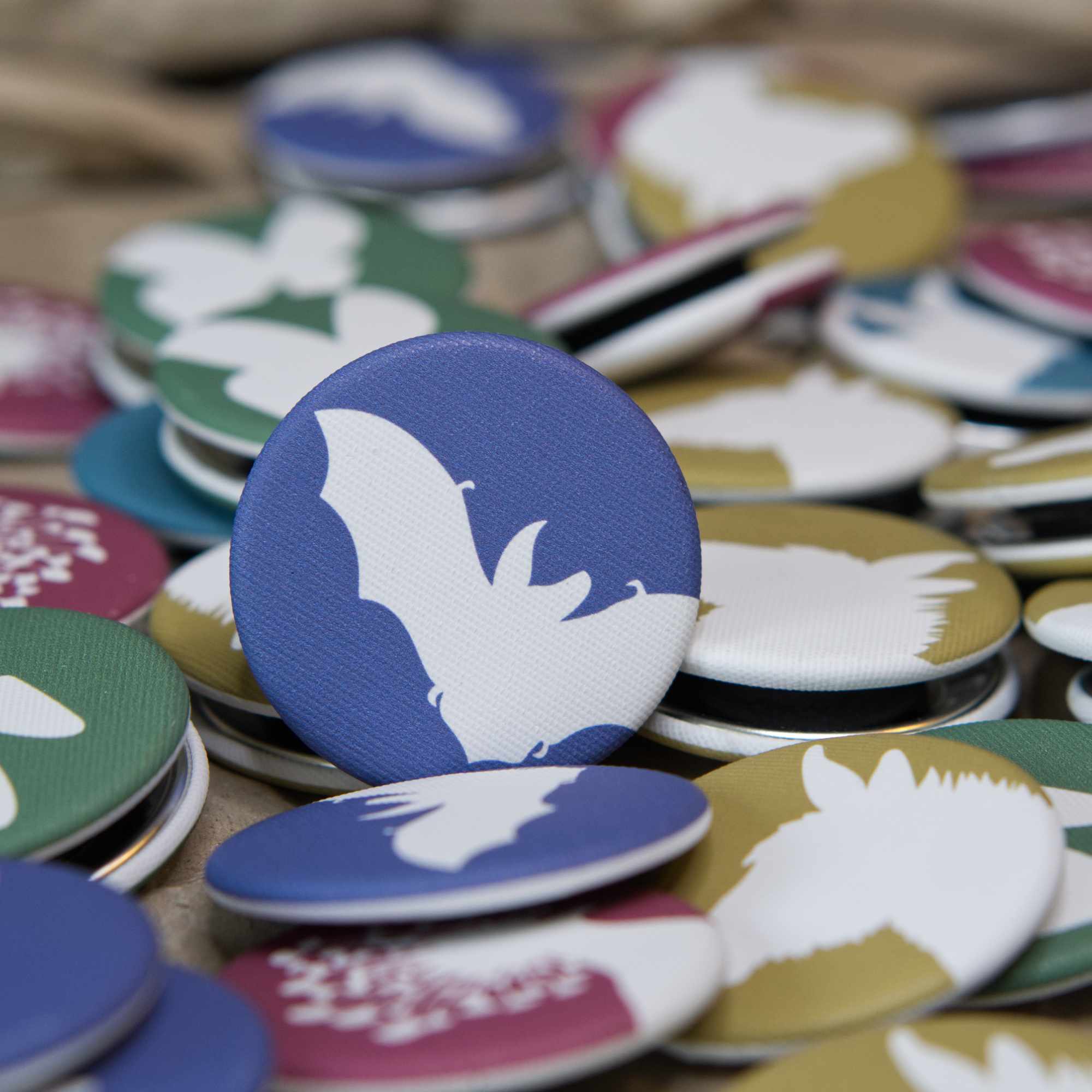 A navy-blue, fabric-covered magnet with the silhouette of a Brown Long-Eared Bat leans against a whole bunch of other colourful magnets.