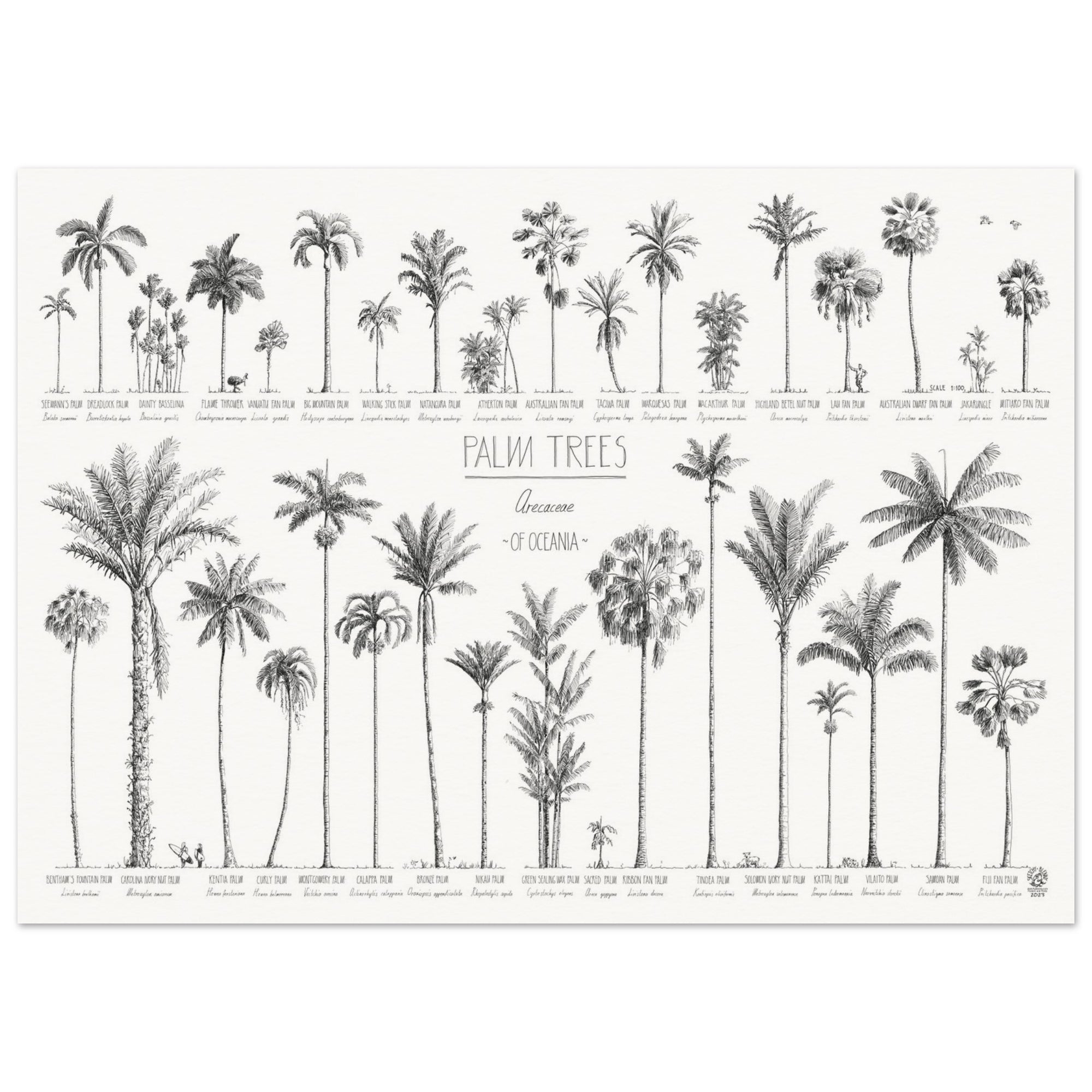Mock up of our 50x70cm Oceania palms poster on archival museum paper