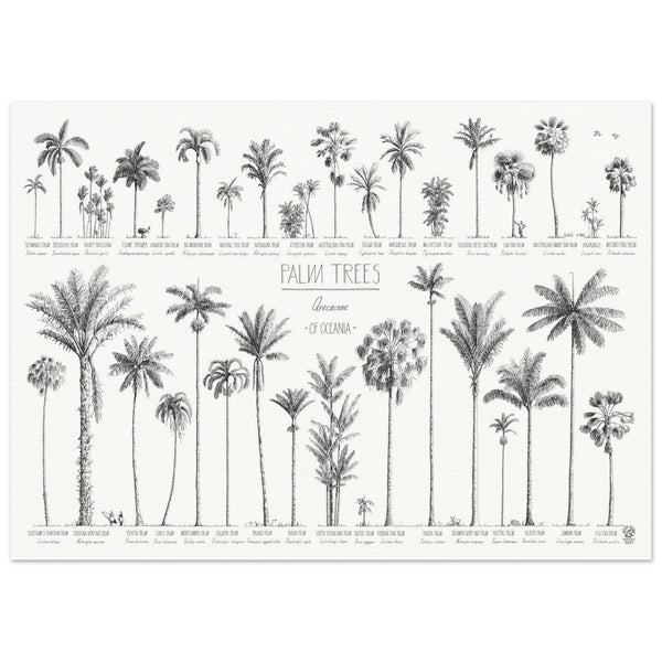 Mock up of our 50x70cm Oceania palms poster on archival museum paper