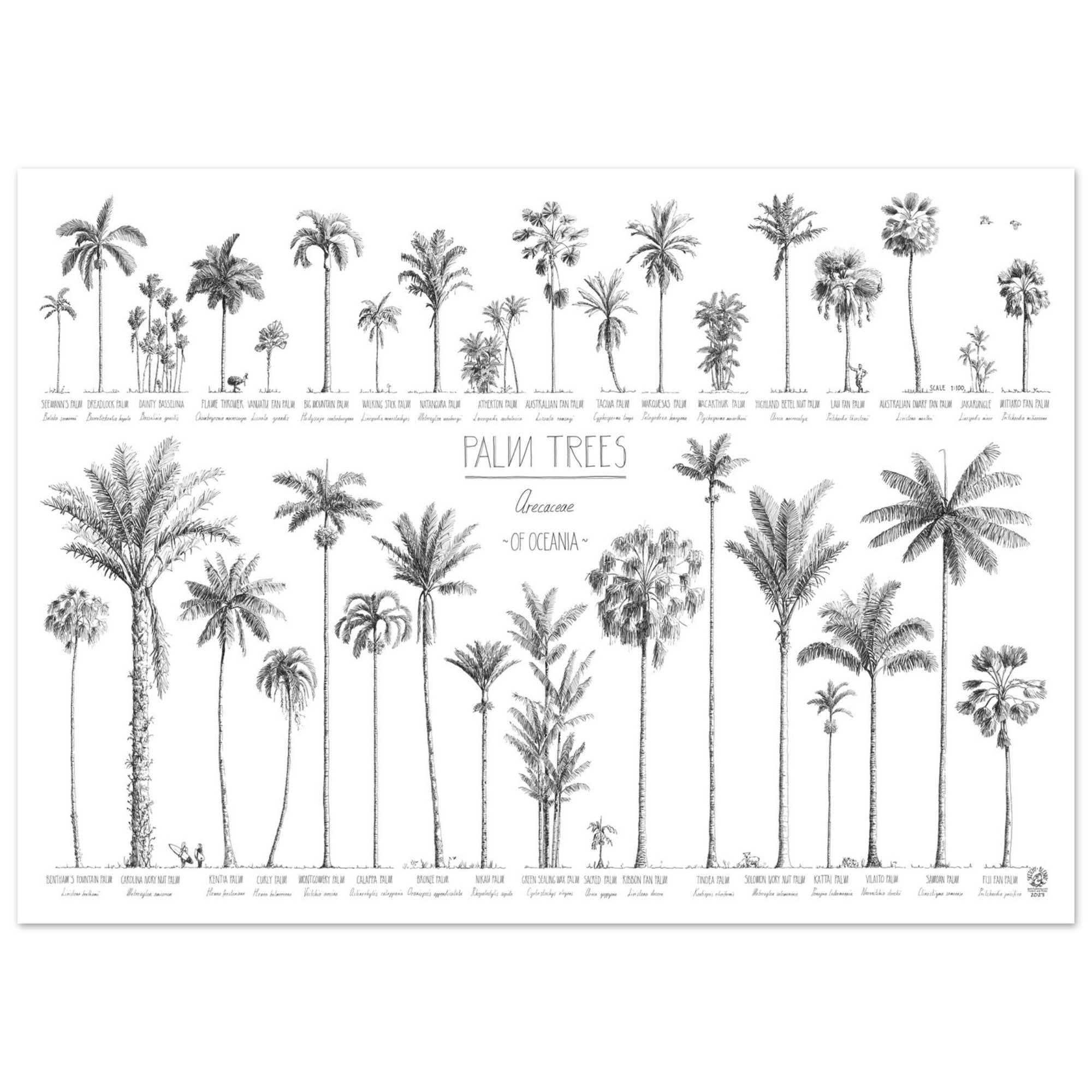 Mock up of our 50x70cm Oceania palms poster