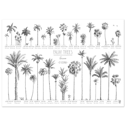 Mock up of our 50x70cm Oceania palms poster