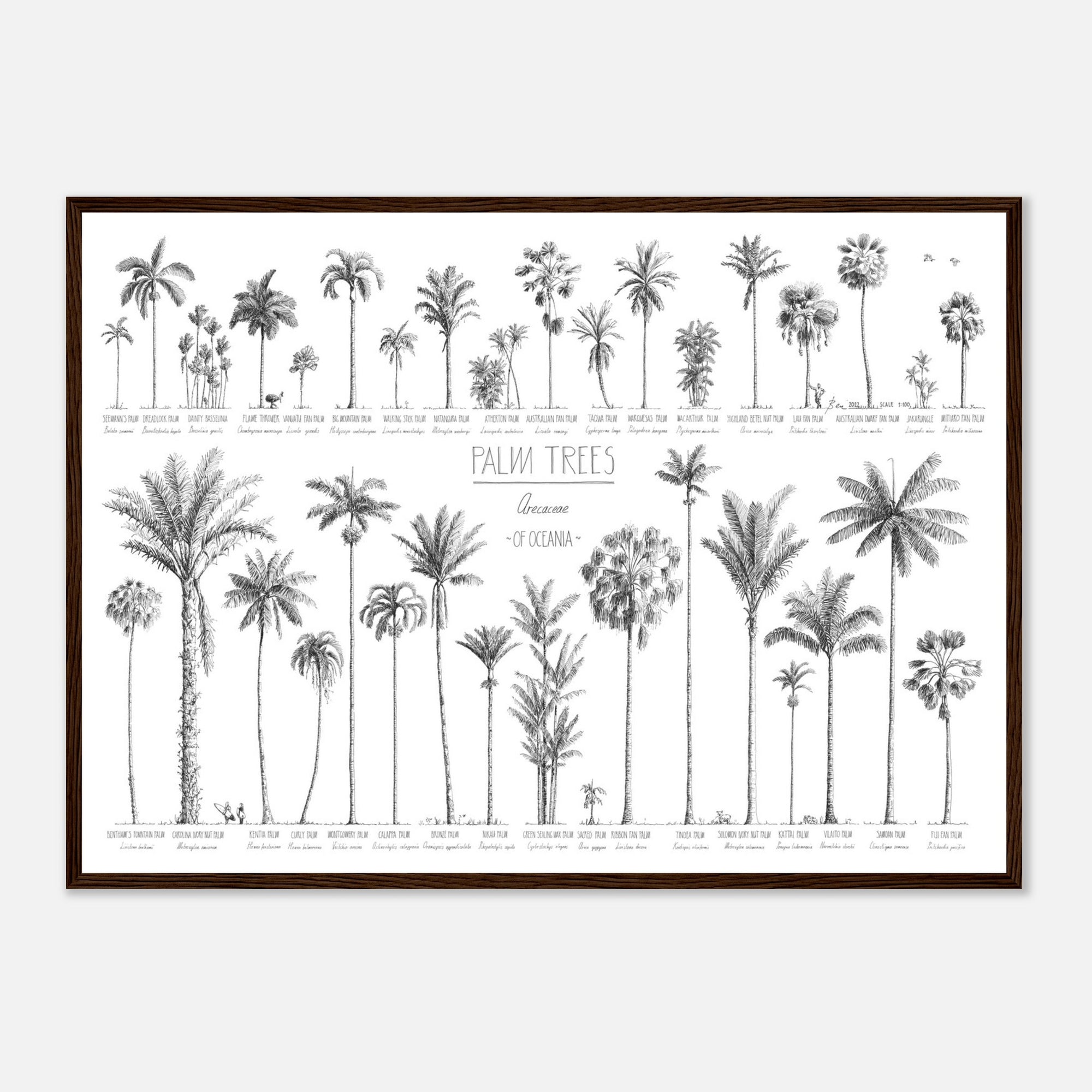 Mock up of our 50x70cm Oceania palms poster in a dark wood frame.
