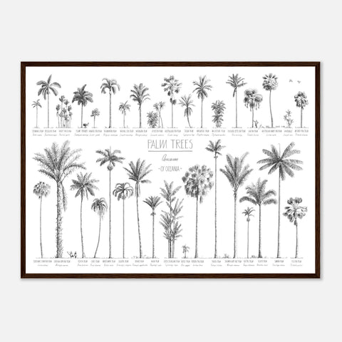 Mock up of our 50x70cm Oceania palms poster in a dark wood frame.