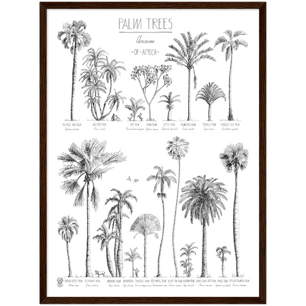 Modern, black and white poster (45x60cm / 18x24“) of Palm trees native to Africa. Scientific and English names. Quality print of hand drawn palm trees, drawn in black ink with loads of details. Comes in a dark wooden frame, ready to hang.