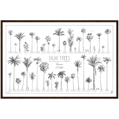 Modern, black and white poster (90x60cm / 36x24") of Palm trees native to Oceania with all its islands and atolls. Scientific and English names. Quality print of hand drawn palm trees, drawn in black ink with details and animals for size comparison. Ready-to-hang, dark wooden frame.