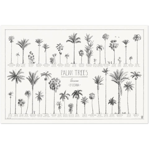 Modern, black and white poster (90x60cm / 36x24") of Palm trees native to Oceania with all its islands and atolls. Scientific and English names. Quality print of hand drawn palm trees, drawn in black ink with details and animals for size comparison. No frame included.
