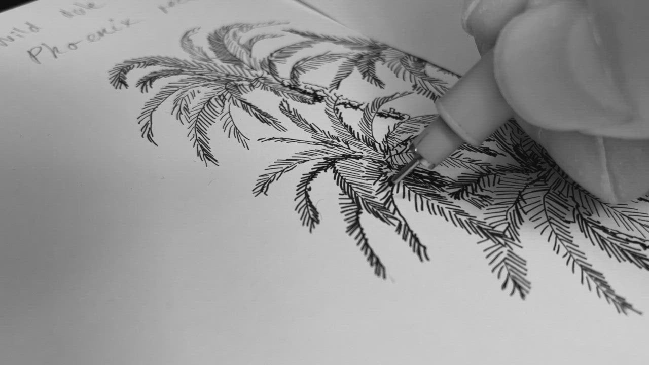 A video showing the process of drawing palm details. Ink on white paper.