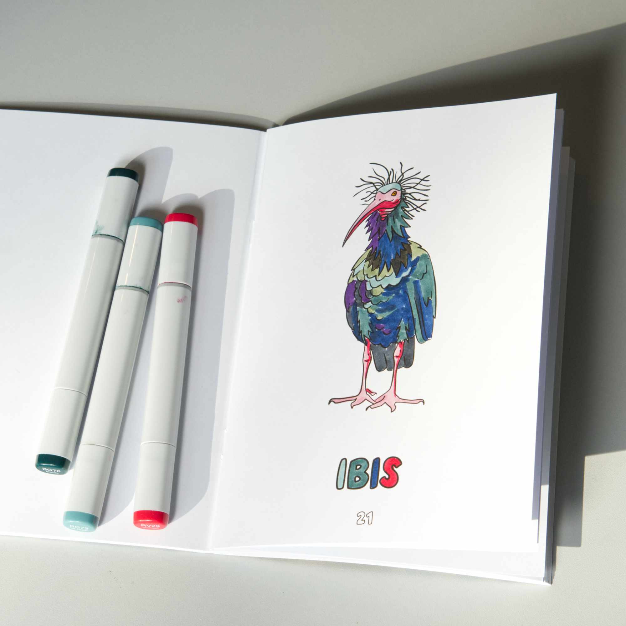 Colouring book open on the page with the letter I and an ibis, coloured-in as an example.