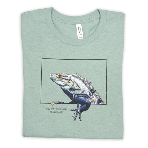 Product photo of our black iguana t-shirt on a heather prism dusty blue base colour. Lying folded on a white surface.