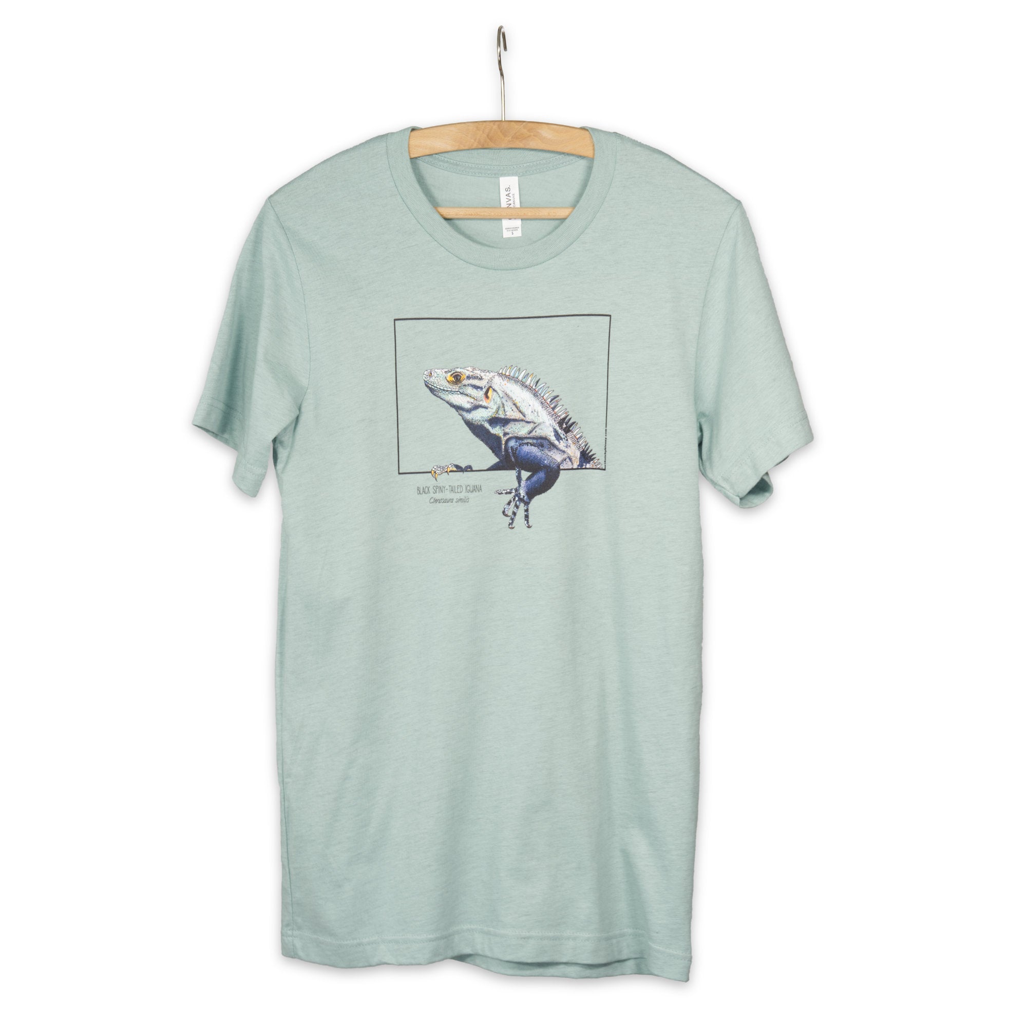 Product photo of our black iguana t-shirt on a heather prism dusty blue base colour. Hanging from a wooden hanger.