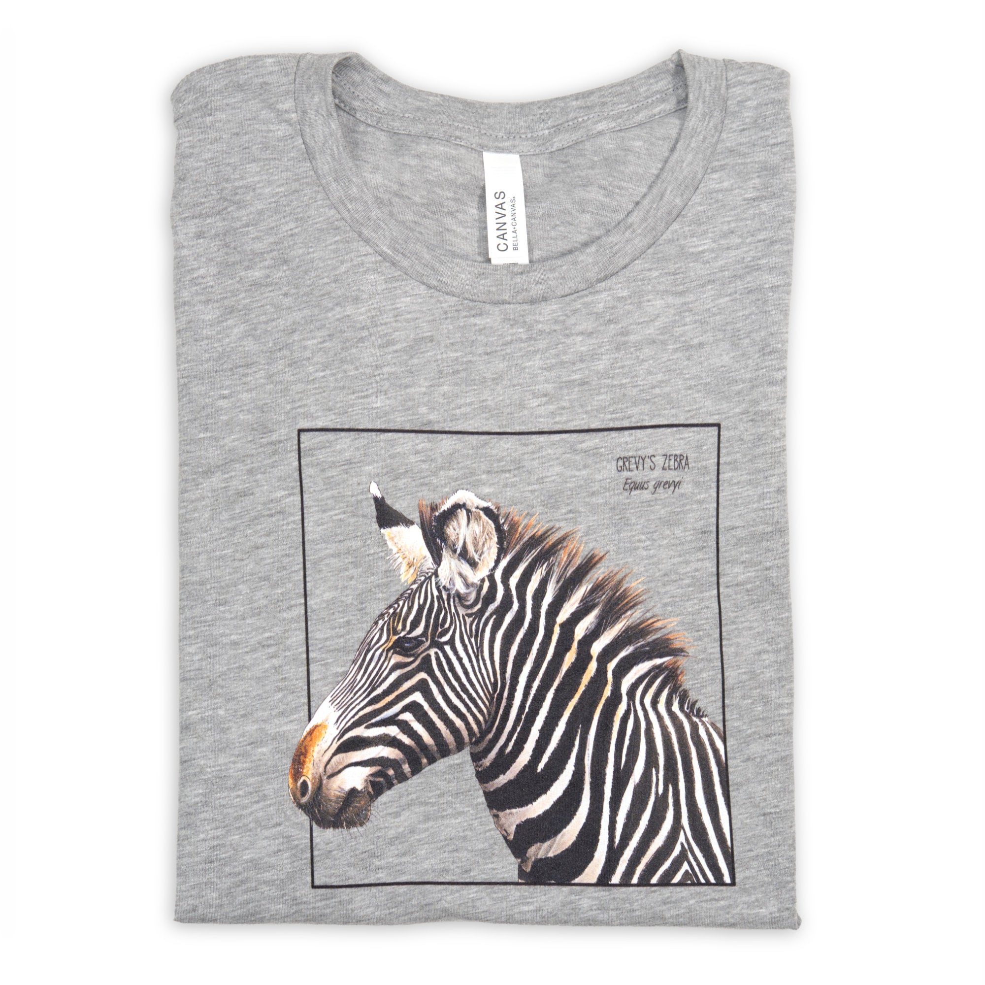 Photo of our gravy zebra t-shirt in the colour heather grey folded on a white surface.