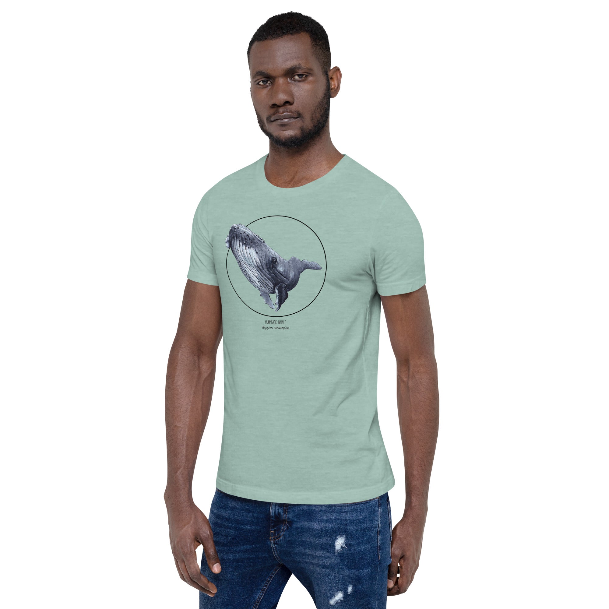 Product mockup of a male model wearing a t-shirt with a beautiful print of a humpbak whale. The base colour of the fabric is heather prism dusty blue.
