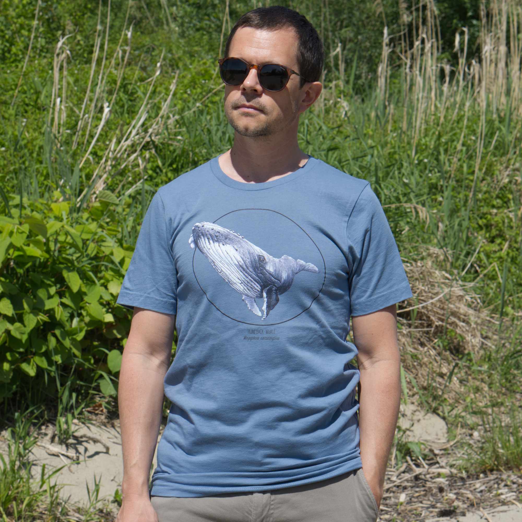 Male model outdoor on a beach wearing a steel blue t-shirt with a humpbak whale print.