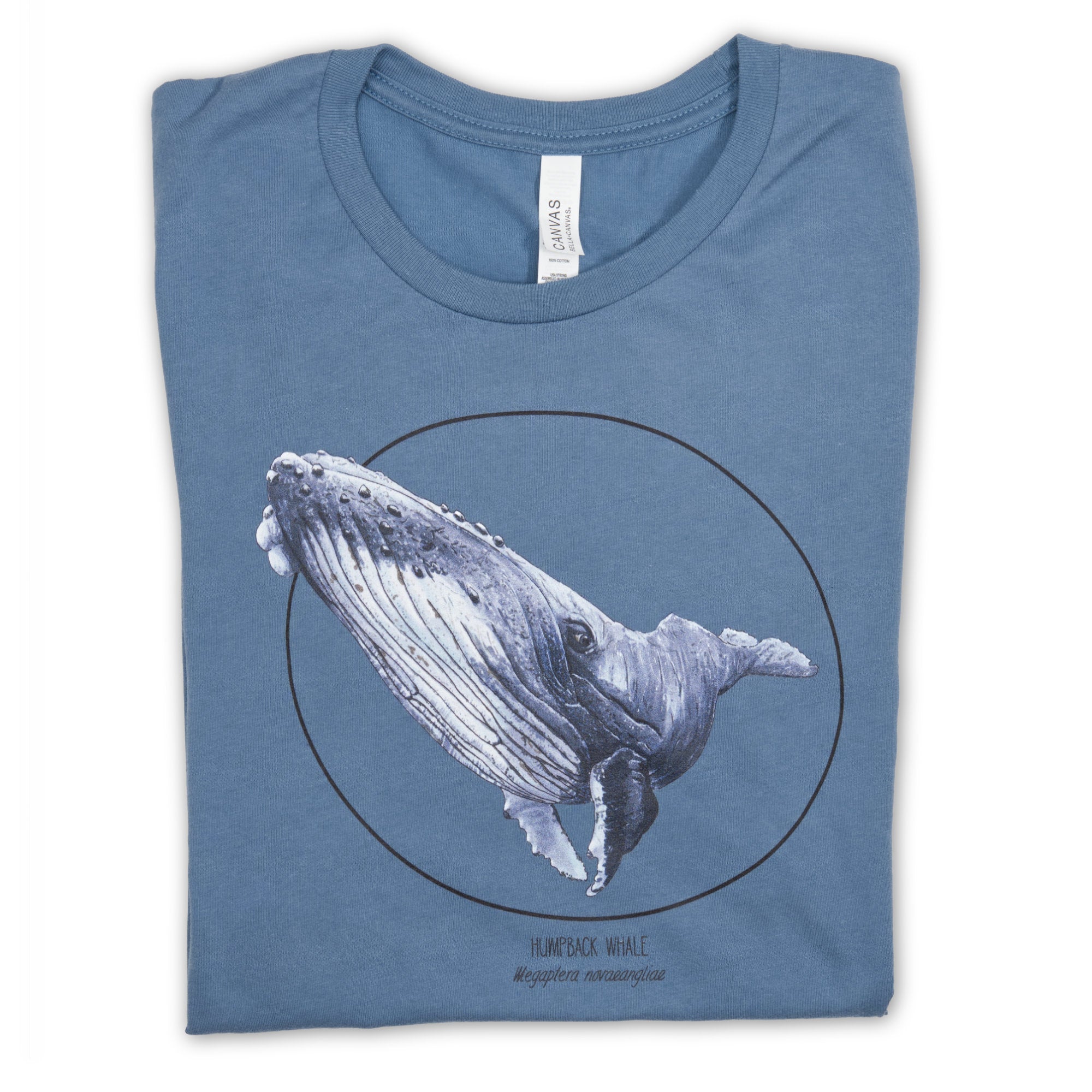 Photo of our  steel blue t-shirt with a humpbak whale print lying folded on a white surface.