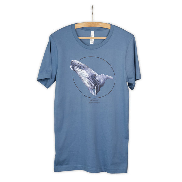 Photo of our  steel blue t-shirt with a humpbak whale print on a wooden hanger.