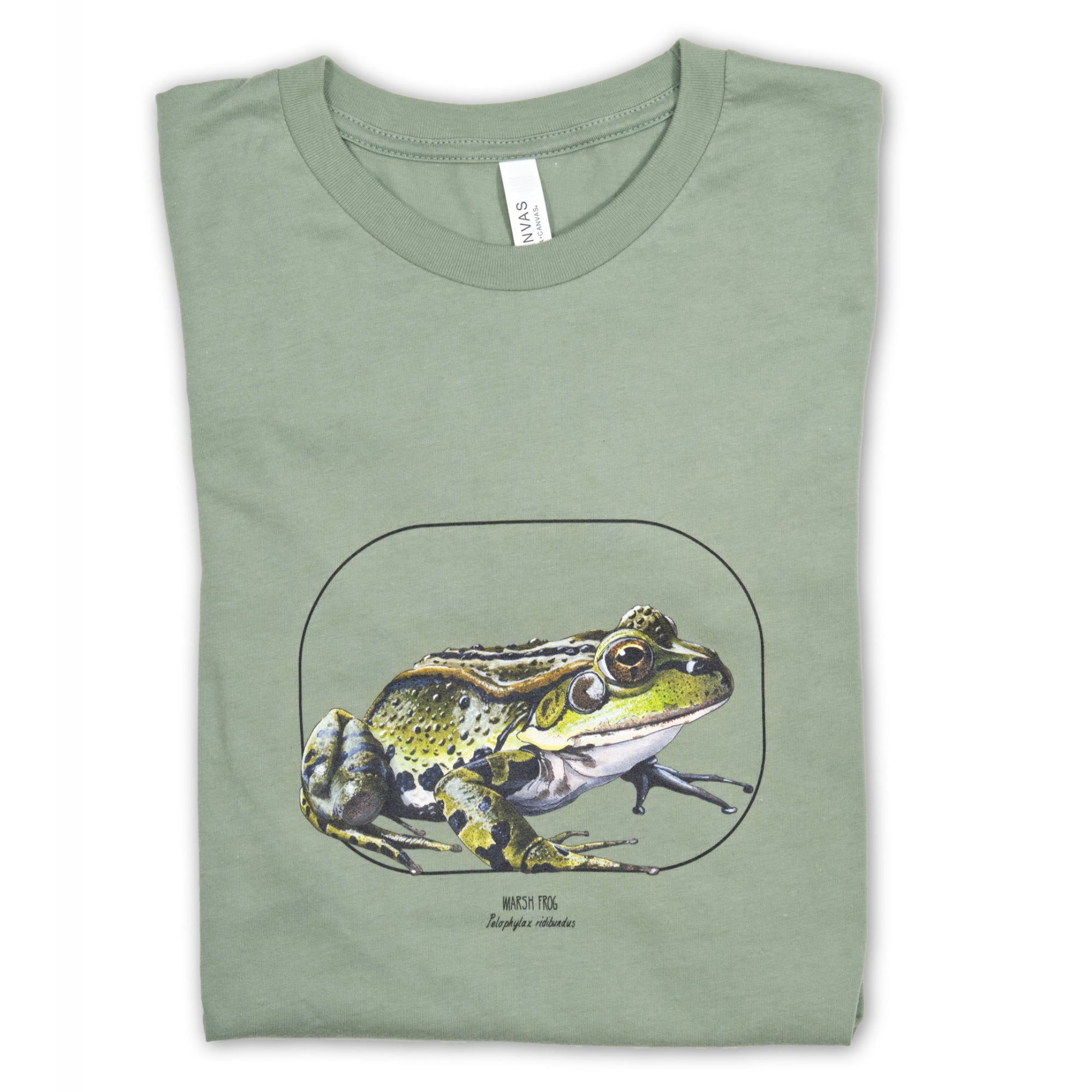 Lying folded on a white surface, this photo showcases our sage coloured t-shirt with a marsh frog print.