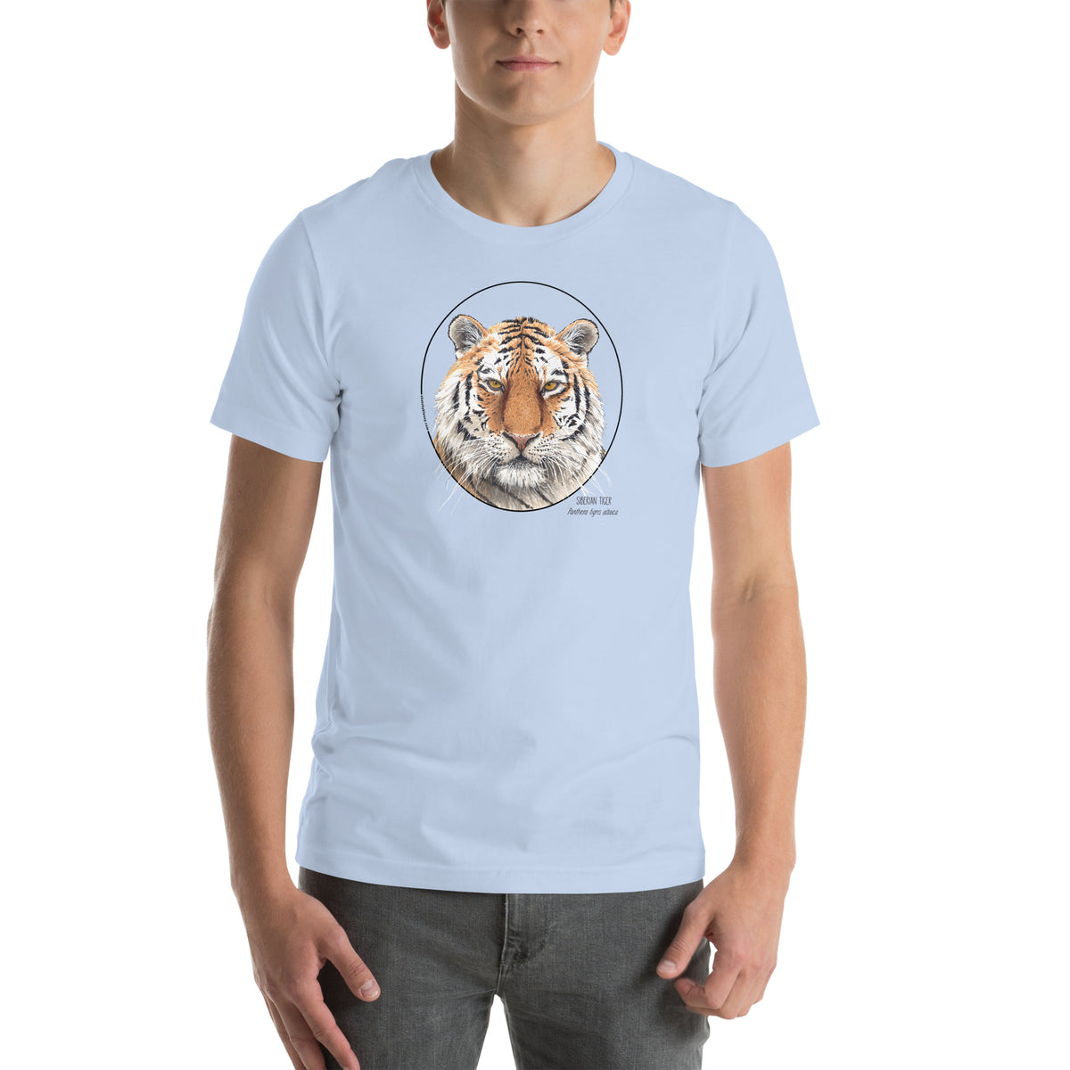 Product mockup of a male model wearing the stunning siberian tiger t-shirt in baby blue colour.