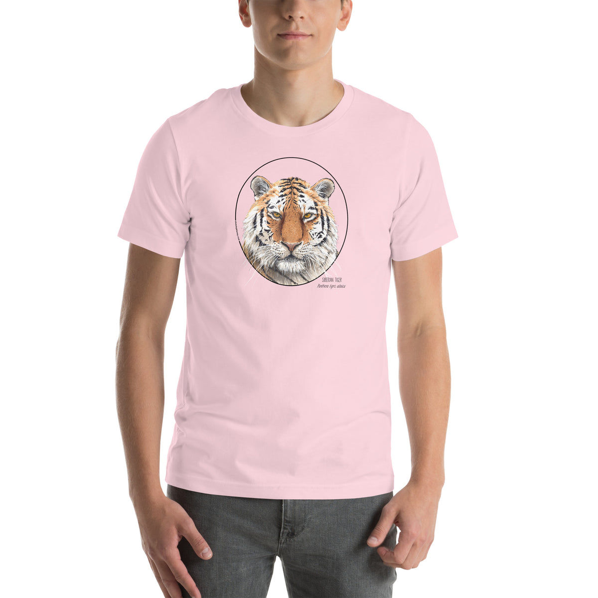 Product mockup of a male model wearing the stunning siberian tiger t-shirt in soft pink colour.