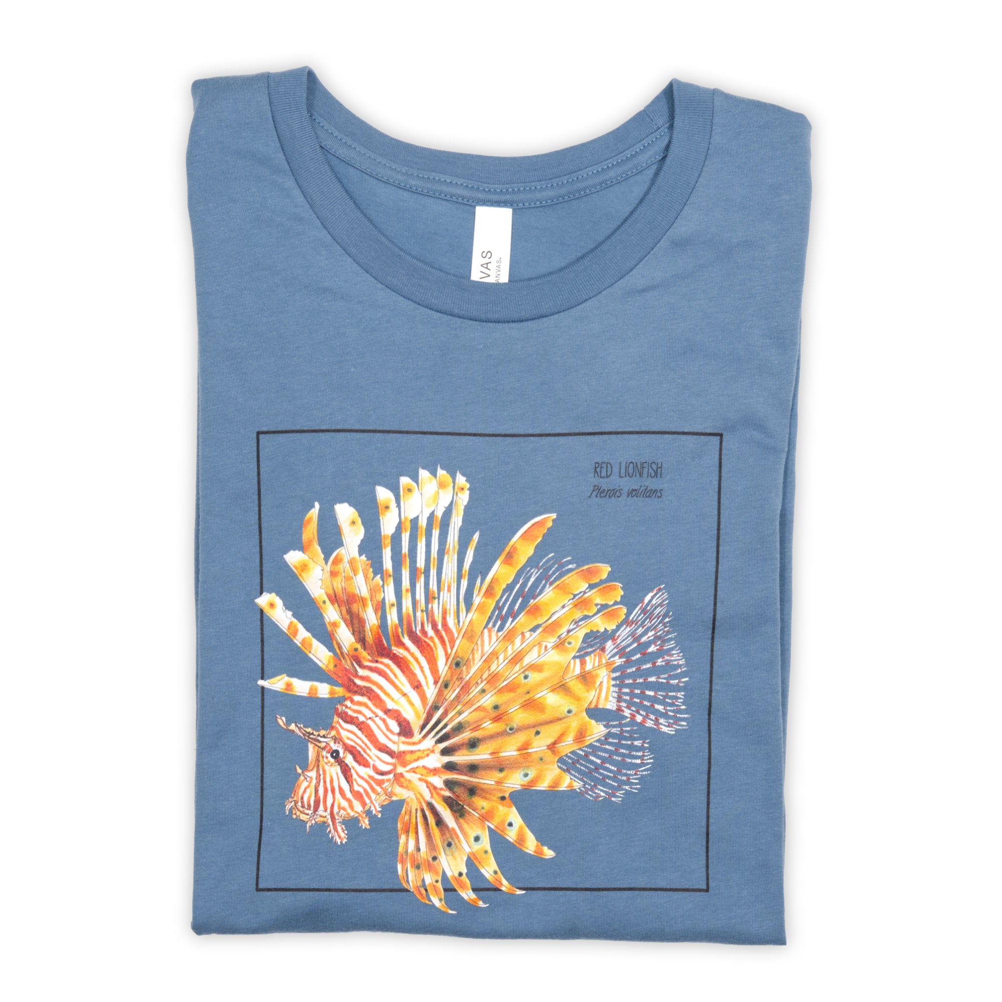 Photo of our steel blue t-shirt with a stunning red lionfish print folded on a white surface.