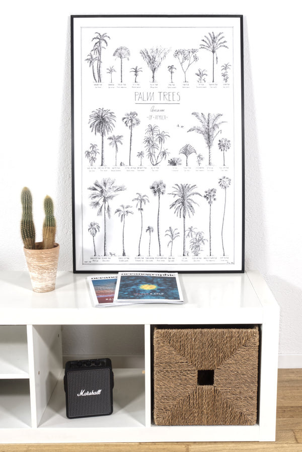 Modern, black and white poster (60x90cm / 24x36“) of Palm trees native to Africa. Scientific and English names. Quality print of hand drawn palm trees, drawn in black ink with loads of details. Black wooden frame.