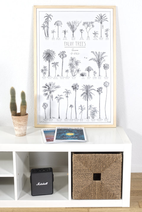 Modern, black and white poster (60x90cm / 24x36“) of Palm trees native to Africa. Scientific and English names. Quality print of hand drawn palm trees, drawn in black ink with loads of details. Natural wood frame.