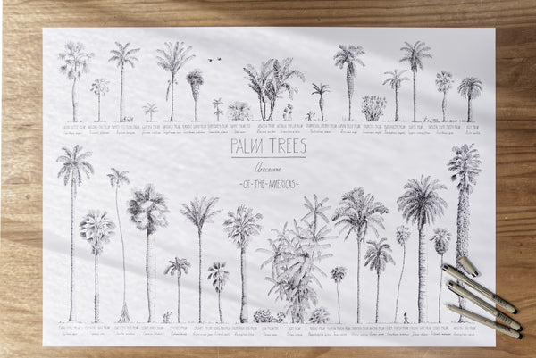 Modern, black and white poster (70x50cm / 28x20“) of Palm trees native to North and South America and the Caribbean. Scientific and English names. Quality print of hand drawn palm trees, detailed drawings in black ink. Poster in the workshop.