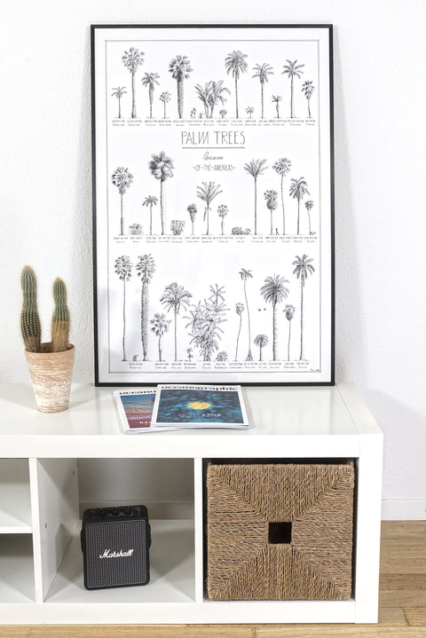 Modern, black and white poster (60x90cm / 24x36“) of Palm trees native to North and South America and the Caribbean. Scientific and English names. Quality print of hand drawn palm trees, detailed drawings in black ink. Black wooden frame, ready to hang.