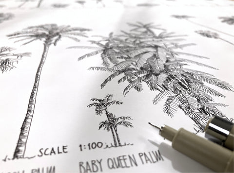 Modern, black and white poster (90x60cm / 36x24") of Palm trees native to North and South America and the Caribbean. Scientific and English names. Quality print of hand drawn palm trees, detailed drawings in black ink. Close up of the artwork.