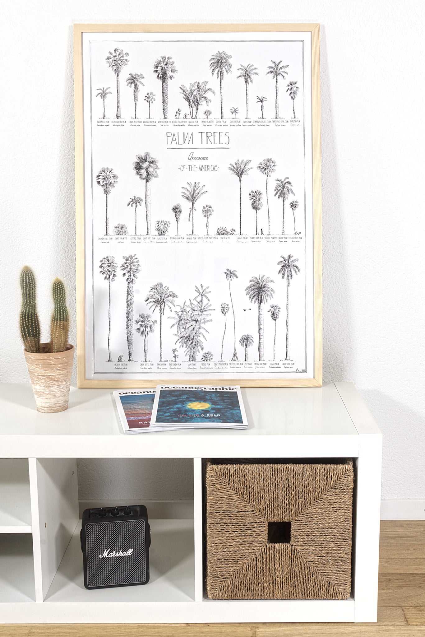 Modern, black and white poster (60x90cm / 24x36“) of Palm trees native to North and South America and the Caribbean. Scientific and English names. Quality print of hand drawn palm trees, detailed drawings in black ink. Natural wood frame, ready to hang.