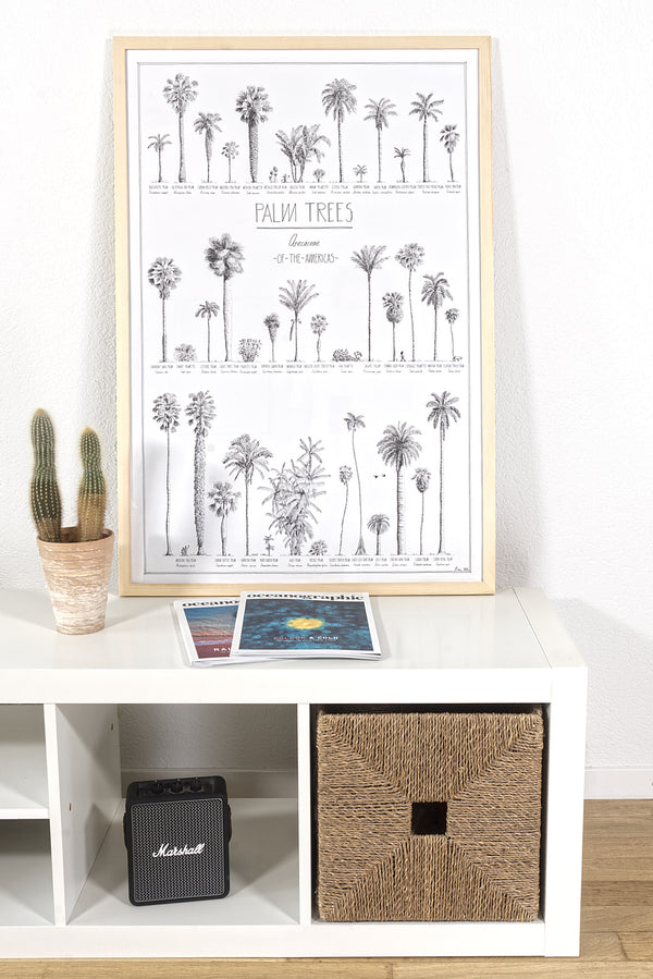 Modern, black and white poster (60x90cm / 24x36“) of Palm trees native to North and South America and the Caribbean. Scientific and English names. Quality print of hand drawn palm trees, detailed drawings in black ink. Natural wood frame, ready to hang.