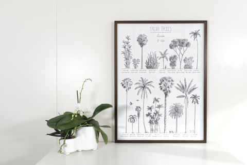 Modern, black and white poster (45x60cm / 18x24“) of Palm trees native to Asia. Scientific and English names. Quality print of hand drawn palm trees, drawn in black ink with loads of details. Dark brown wooden frame included.