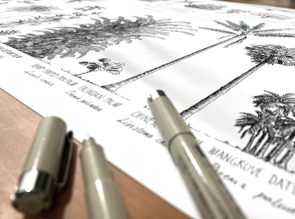 Modern, black and white poster (70x50cm / 28x20“) of Palm trees native to Asia. Scientific and English names. Quality print of hand drawn palm trees, drawn in black ink with loads of details. Close up of ink drawings.