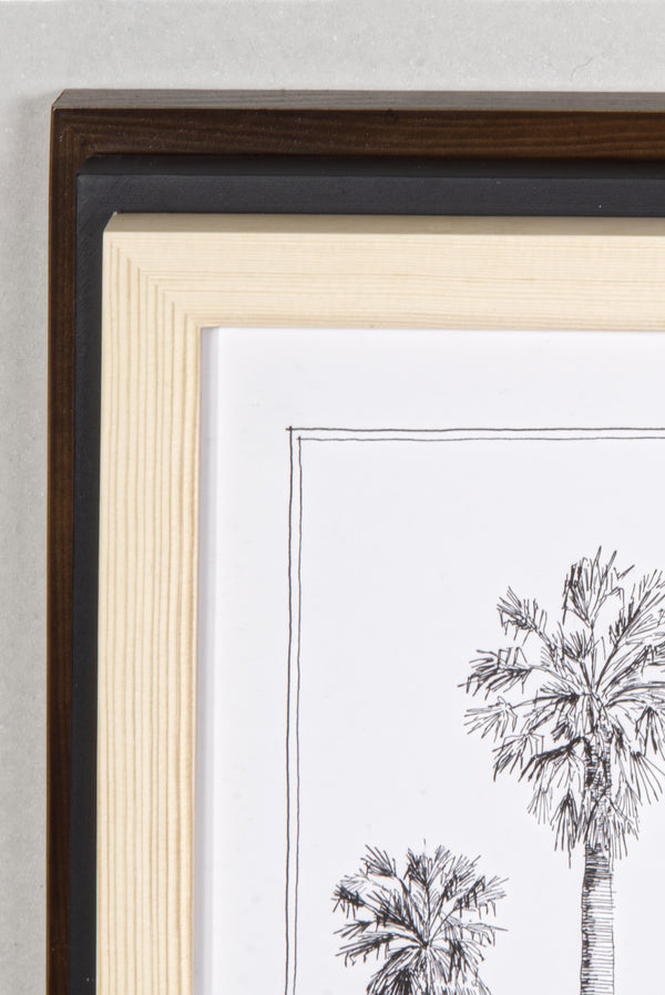 Modern, black and white poster (60x90cm / 24x36“) of Palm trees native to Africa. Scientific and English names. Quality print of hand drawn palm trees, drawn in black ink with loads of details. Comparison of available frames.
