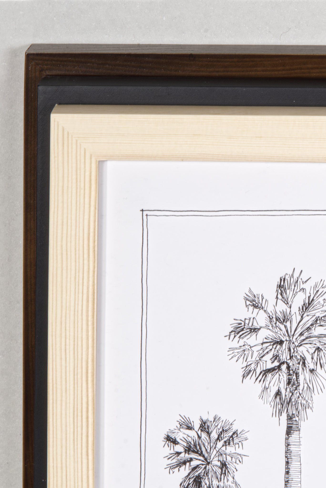 Modern, black and white poster (60x90cm / 24x36“) of Palm trees native to Asia. Scientific and English names. Quality print of hand drawn palm trees, drawn in black ink with loads of details. All frames.
