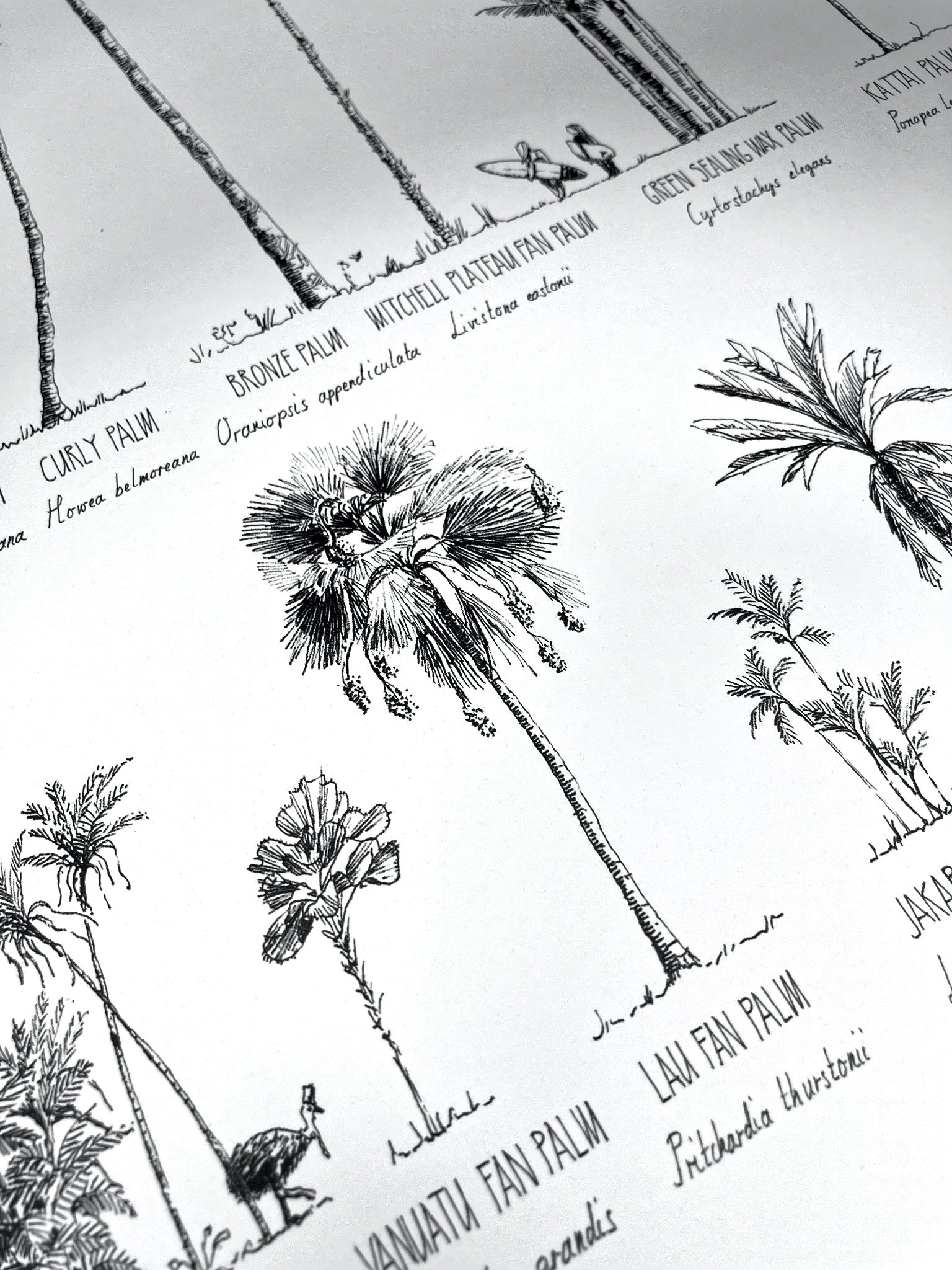 Detail of a Oceania poster. Close-up of the ink drawing.