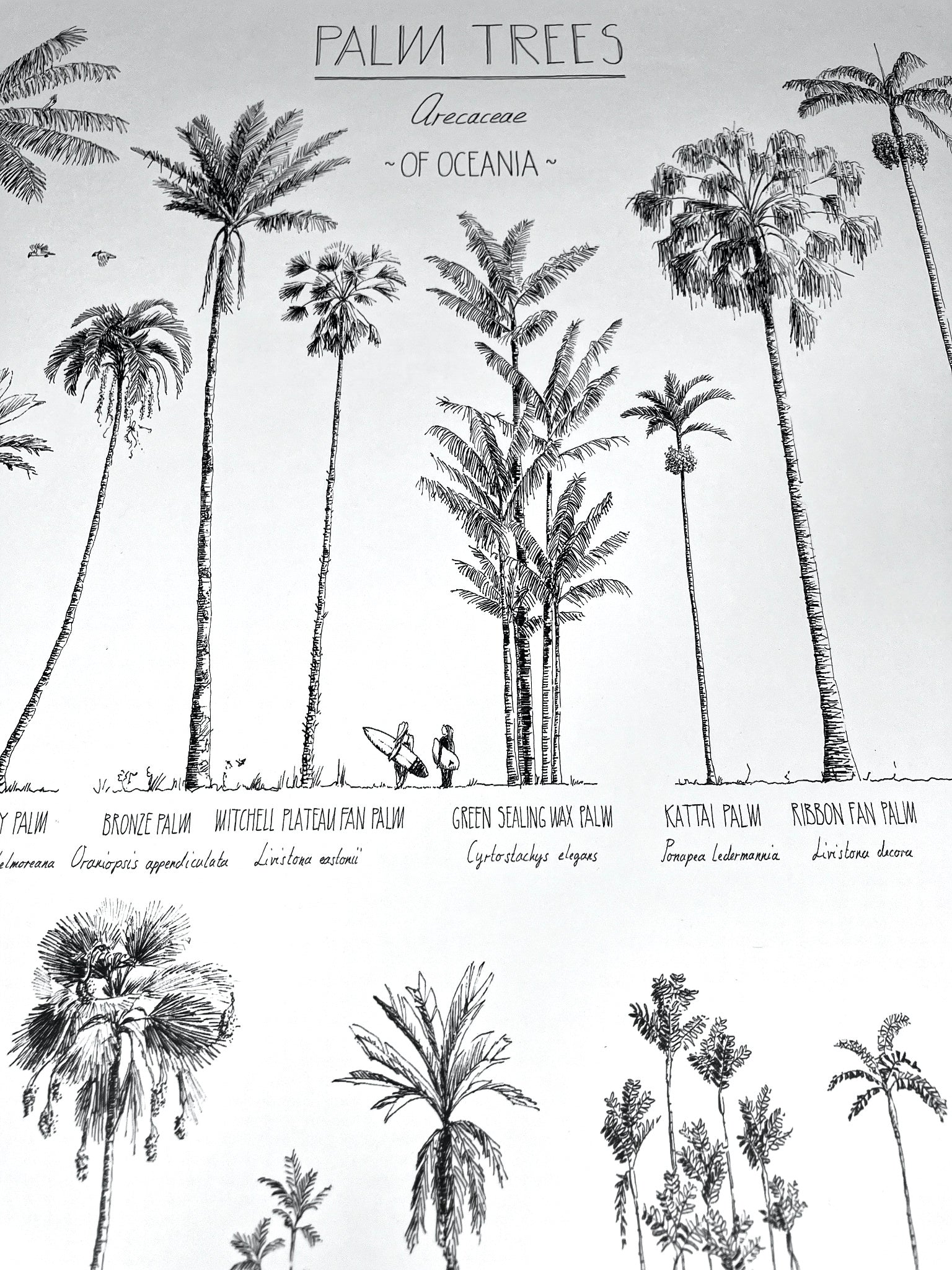 Detail of a Oceania poster. Close-up of the ink drawing.