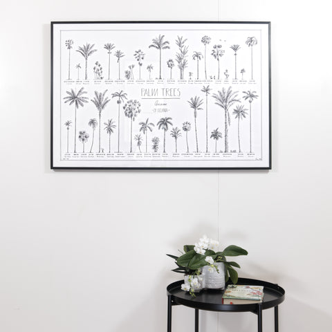 Modern, black and white poster (90x60cm / 36x24") of Palm trees native to Oceania with all its islands and atolls. Scientific and English names. Quality print of hand drawn palm trees, drawn in black ink with details and animals for size comparison. Black wooden frame, ready to hang.