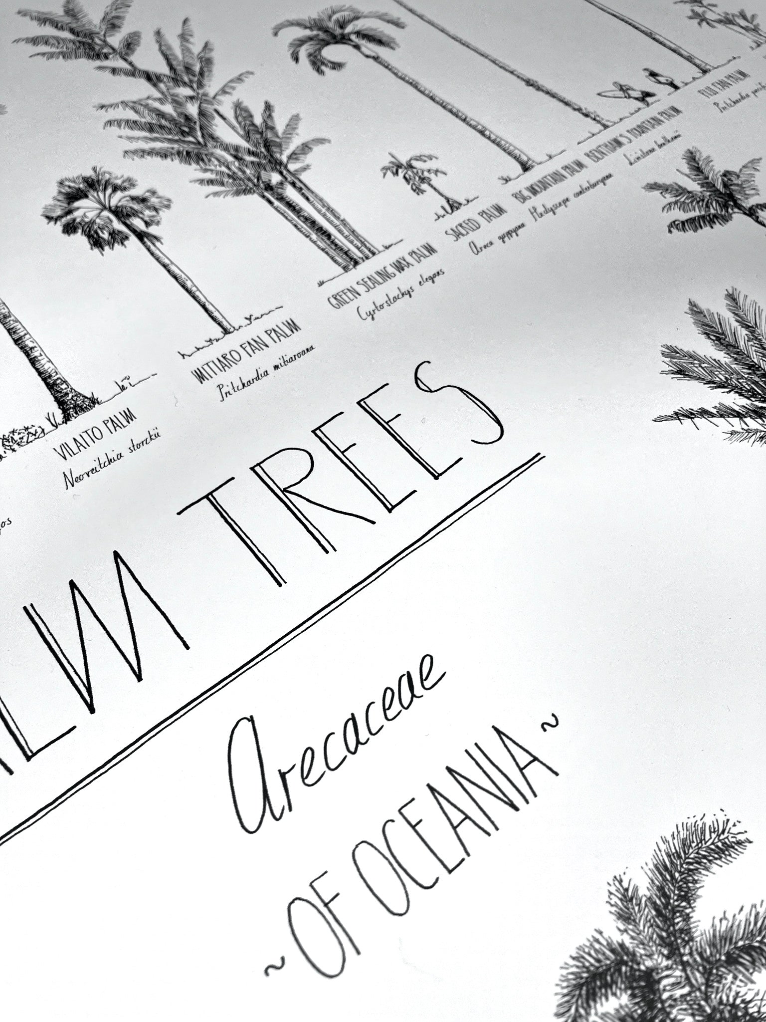 Close-up of a poster. Details of the beautiful hand-drawn trees and hand-lettering.
