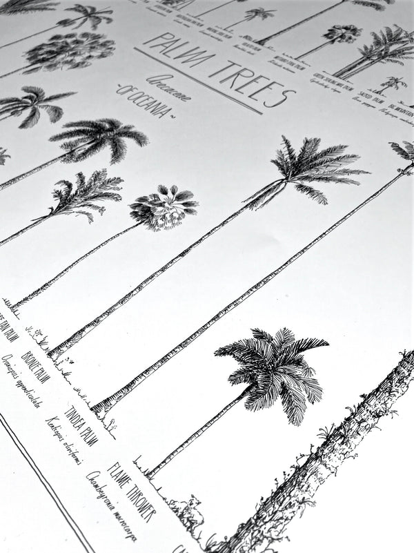 Close-up of a poster. Details of the beautiful hand-drawn trees and hand-lettering.